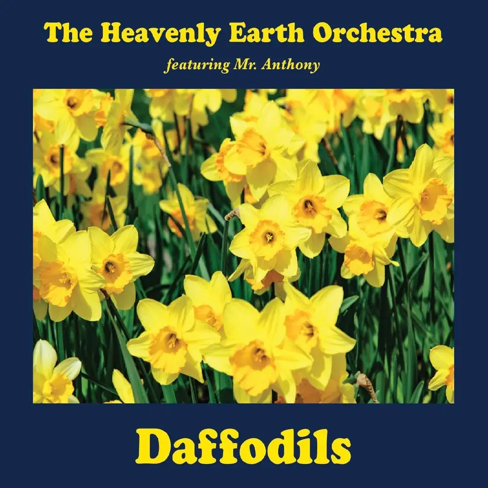 Daffodils